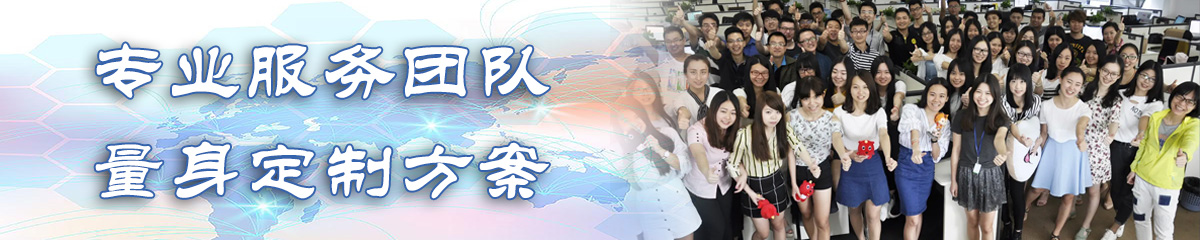 六安BI软件